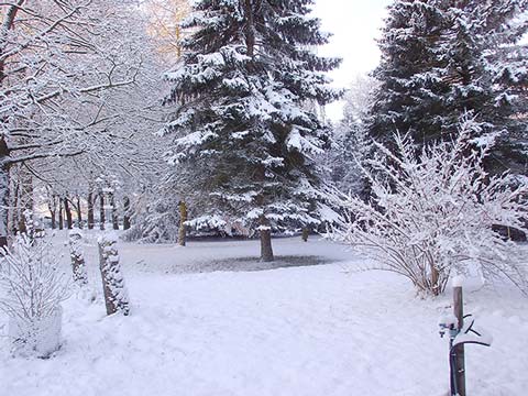 Schnee auf dem Aussteiger-Hof Zarnekla